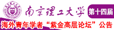 插逼视频黄色南京理工大学第十四届海外青年学者紫金论坛诚邀海内外英才！